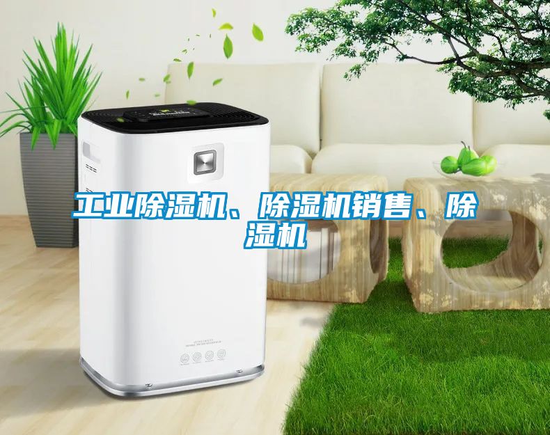 工業(yè)除濕機、除濕機銷(xiāo)售、除濕機