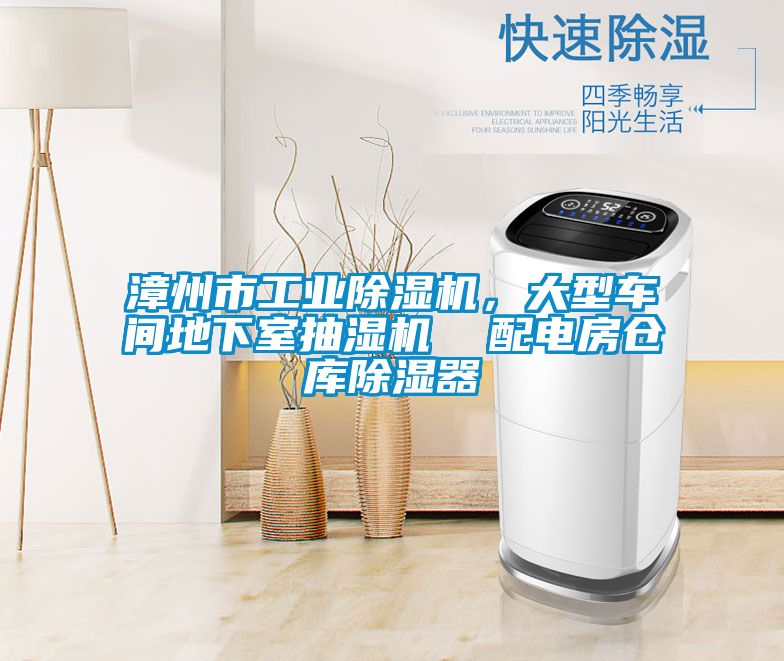 漳州市工業(yè)除濕機，大型車(chē)間地下室抽濕機  配電房倉庫除濕器