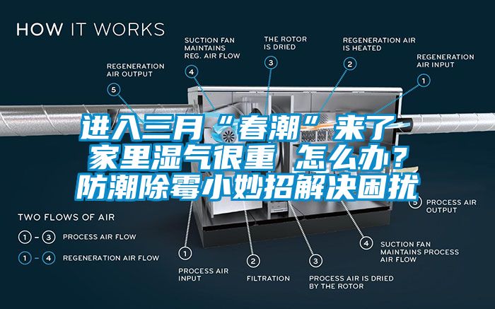 進(jìn)入三月“春潮”來(lái)了 家里濕氣很重 怎么辦？防潮除霉小妙招解決困擾