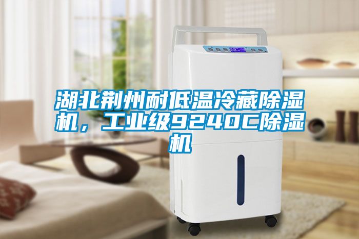 湖北荊州耐低溫冷藏除濕機，工業(yè)級9240C除濕機