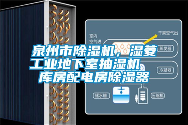 泉州市除濕機，濕菱工業(yè)地下室抽濕機  庫房配電房除濕器