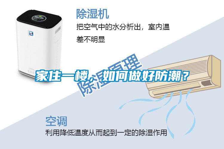 家住一樓，如何做好防潮？