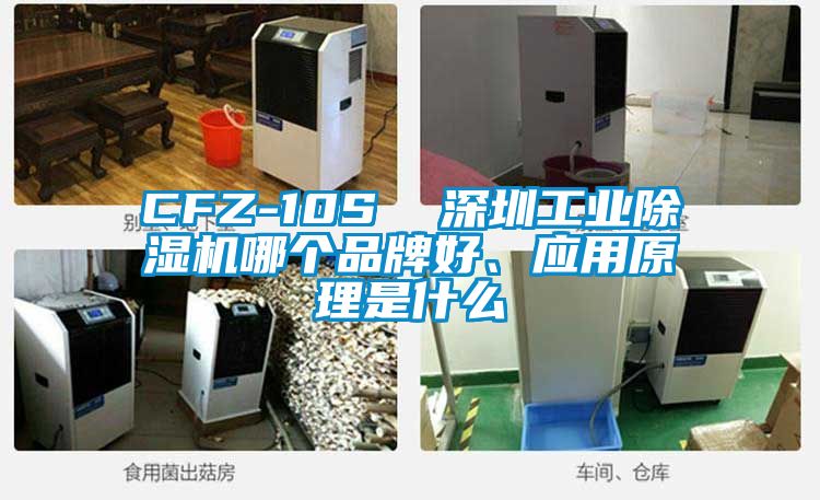 CFZ-10S  深圳工業(yè)除濕機哪個(gè)品牌好、應用原理是什么
