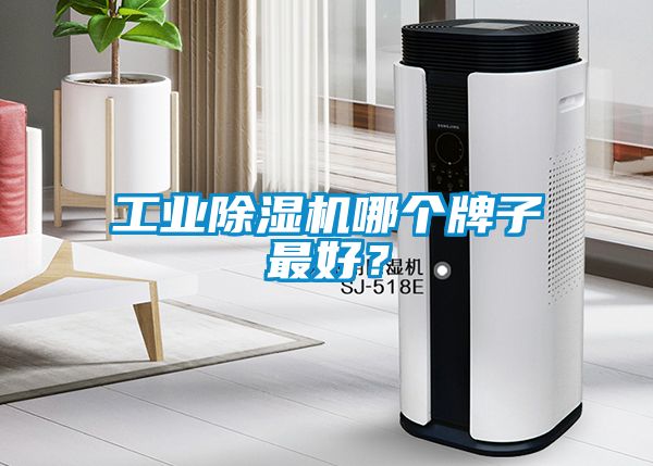工業(yè)除濕機哪個(gè)牌子最好？