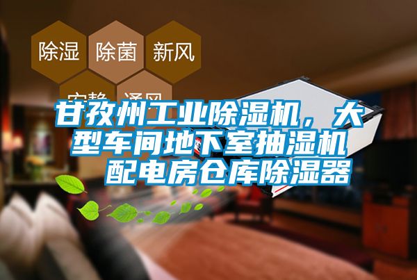 甘孜州工業(yè)除濕機，大型車(chē)間地下室抽濕機  配電房倉庫除濕器