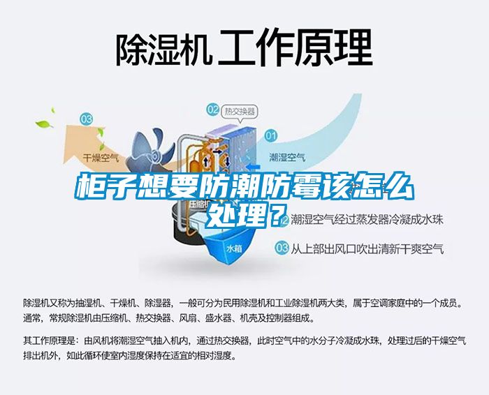 柜子想要防潮防霉該怎么處理？
